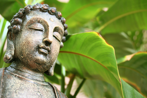 buddha.in.foliage.450pixels